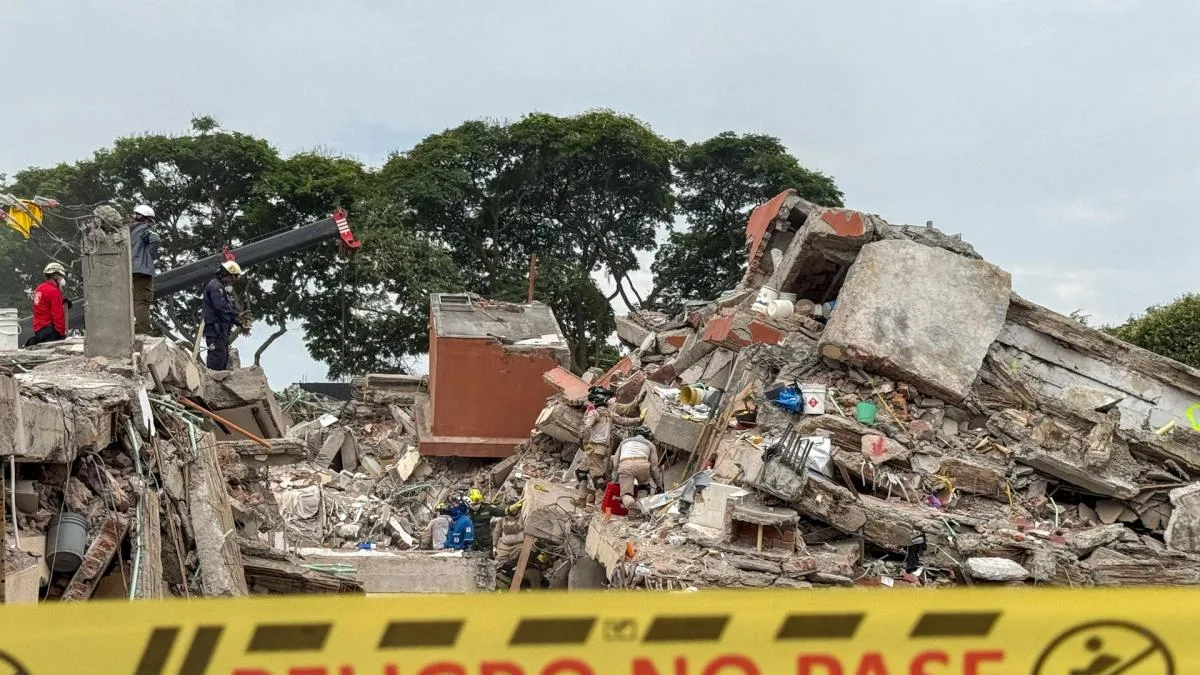 Cuando rescatar se vuelve reconstruir