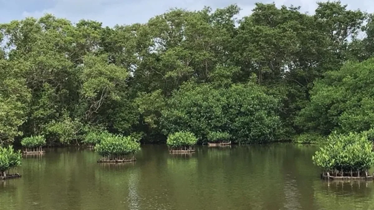 Una cautelar le pone plazos a La Boquilla