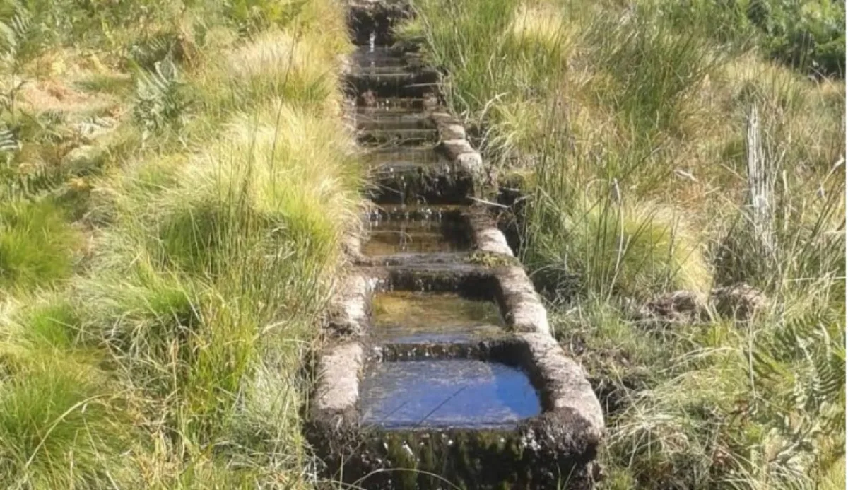 Reconocer el agua sin tocar su reparto