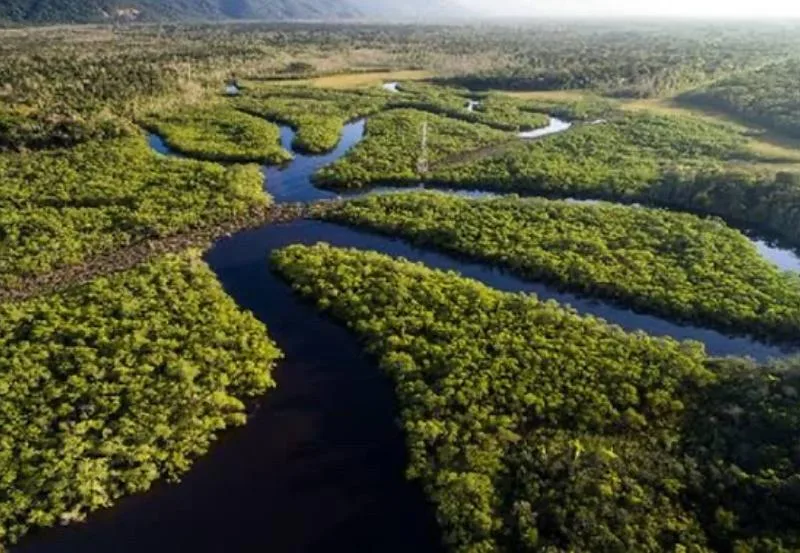La ruta ganó cuatro reservas